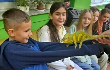 Zwierzęta egzotyczne 3