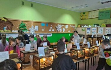 Zwierzęta egzotyczne 8