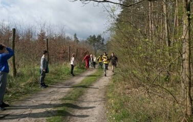 Drużynowe biegi przełajowe 31