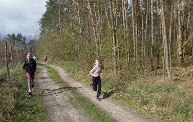 Drużynowe biegi przełajowe 32