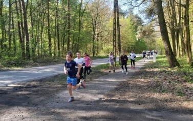 Drużynowe Biegi Przełajowe  - Powiat 6