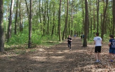 Drużynowe Biegi Przełajowe  - Powiat 25
