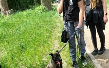 Zbi&oacute;rka dla schroniska dla zwierząt w Toruniu 3