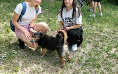 Zbi&oacute;rka dla schroniska dla zwierząt w Toruniu 5