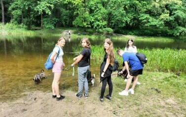 Zbi&oacute;rka dla schroniska dla zwierząt w Toruniu 6