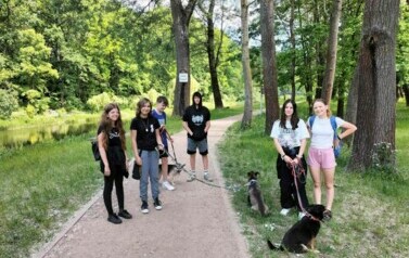 Zbi&oacute;rka dla schroniska dla zwierząt w Toruniu 7