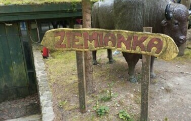 Podr&oacute;ż do serca Kaszub 4