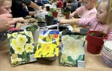 PODSUMOWANIE PROJEKTU &bdquo;GRAMY W ZIELONE&rdquo;&nbsp; EDYCJA 2023/2024 4