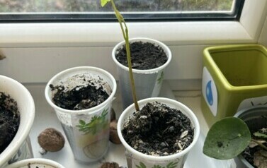 PODSUMOWANIE PROJEKTU &bdquo;GRAMY W ZIELONE&rdquo;&nbsp; EDYCJA 2023/2024 31