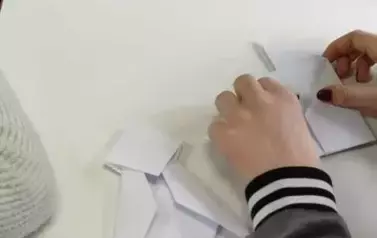 Pszczoły &ndash; czy Albert Einstein miał rację? 1