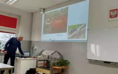 Pszczoły &ndash; czy Albert Einstein miał rację? 3