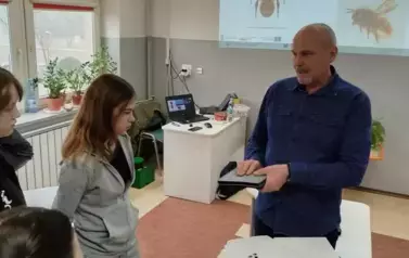 Pszczoły &ndash; czy Albert Einstein miał rację? 12