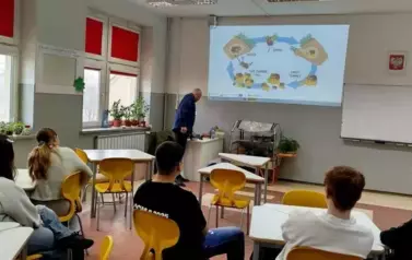 Pszczoły &ndash; czy Albert Einstein miał rację? 16