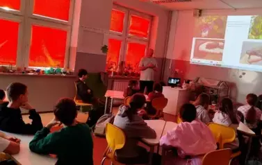 Skrzydlaci goście w ogrodzie &ndash; jak przyciągnąć zapylacze? 19