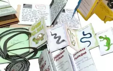 Klasa 6 kontynuuje przygodę z innowacją &ndash; &bdquo;Zachwycający świat zwierząt&rdquo; 25