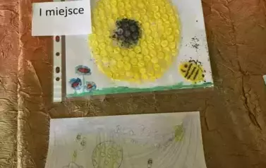 Światowy Dzień Pszczoły 8