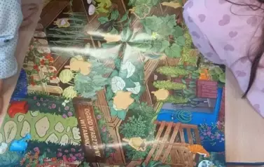 Podsumowanie innowacji pedagogicznej 12