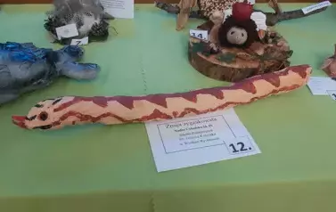 Ekobiesiada 2025 &ndash; sukces uczni&oacute;w z Wielkiego Rychnowa 23