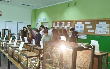 Fascynujący świat zwierząt egzotycznych 23