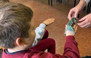 Fascynujący świat zwierząt egzotycznych 26