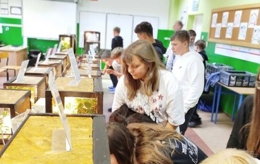 Fascynujący świat zwierząt egzotycznych 40
