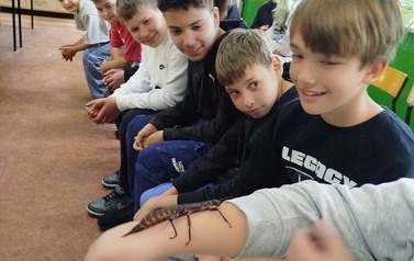 Fascynujący świat zwierząt egzotycznych 48