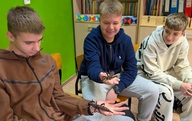 Fascynujący świat zwierząt egzotycznych 49