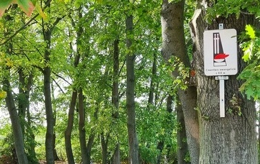 PORZĄDKOWANIE  CMENTARZA  EWANGELICKIEGO 3