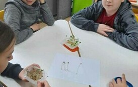 Obchody Światowego Tygodnia M&oacute;zgu w Naszej Szkole 11