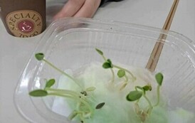 Obchody Światowego Tygodnia M&oacute;zgu w Naszej Szkole 17