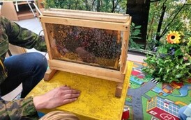 Warsztaty pszczelarskie 1