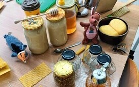 Warsztaty pszczelarskie 4