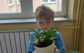 Obchody Dnia Ziemi w Naszej Szkole: Planeta Kontra Plastik 12