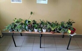 Obchody Dnia Ziemi w Naszej Szkole: Planeta Kontra Plastik 18