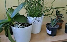 Obchody Dnia Ziemi w Naszej Szkole: Planeta Kontra Plastik 23
