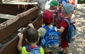 WYCIECZKA PRZEDSZKOLAK&Oacute;W DO OGRODU ZOOBOTANICZNEGO&nbsp; W TORUNIU 3