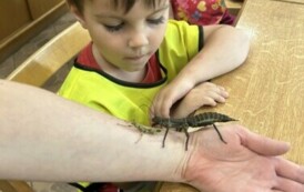WYCIECZKA PRZEDSZKOLAK&Oacute;W DO OGRODU ZOOBOTANICZNEGO&nbsp; W TORUNIU 4
