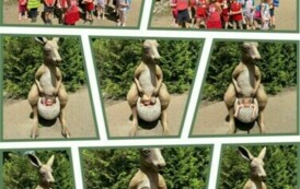 WYCIECZKA PRZEDSZKOLAK&Oacute;W DO OGRODU ZOOBOTANICZNEGO&nbsp; W TORUNIU 10