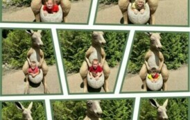WYCIECZKA PRZEDSZKOLAK&Oacute;W DO OGRODU ZOOBOTANICZNEGO&nbsp; W TORUNIU 11