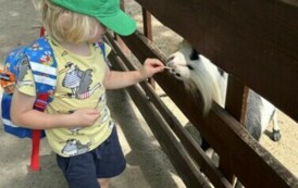 WYCIECZKA PRZEDSZKOLAK&Oacute;W DO OGRODU ZOOBOTANICZNEGO&nbsp; W TORUNIU 18