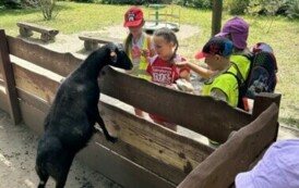 WYCIECZKA PRZEDSZKOLAK&Oacute;W DO OGRODU ZOOBOTANICZNEGO&nbsp; W TORUNIU 19