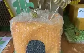 Światowy Dzień Pszczoły 3