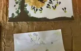 Światowy Dzień Pszczoły 12