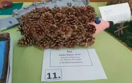 Ekobiesiada 2025 &ndash; sukces uczni&oacute;w z Wielkiego Rychnowa 19