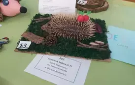 Ekobiesiada 2025 &ndash; sukces uczni&oacute;w z Wielkiego Rychnowa 20