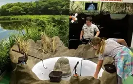 Ekowypady za elektroodpady &ndash; ekologiczna przygoda klasy 2 w Toruniu&nbsp; 2