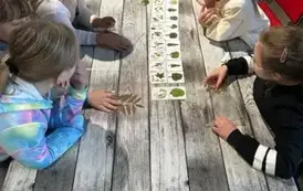 Ekowypady za elektroodpady &ndash; ekologiczna przygoda klasy 2 w Toruniu&nbsp; 13