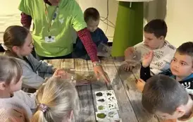 Ekowypady za elektroodpady &ndash; ekologiczna przygoda klasy 2 w Toruniu&nbsp; 14