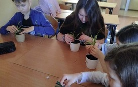 Tydzień M&oacute;zgu w naszej szkole! 12