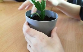 Tydzień M&oacute;zgu w naszej szkole! 20